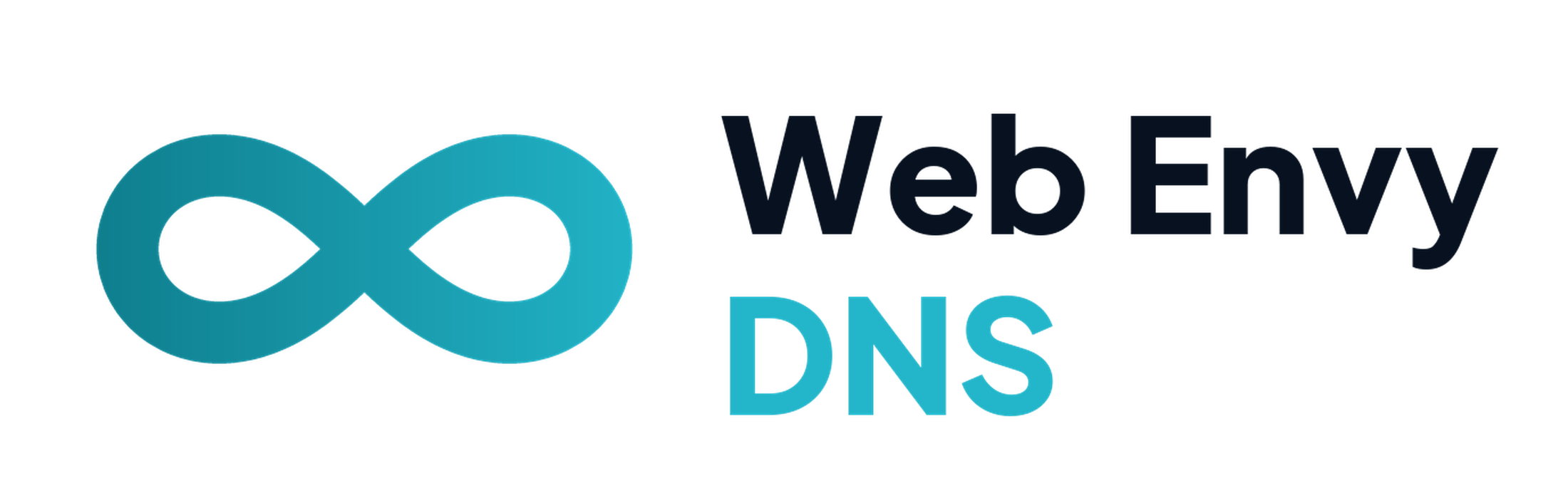 Web Envy DNS